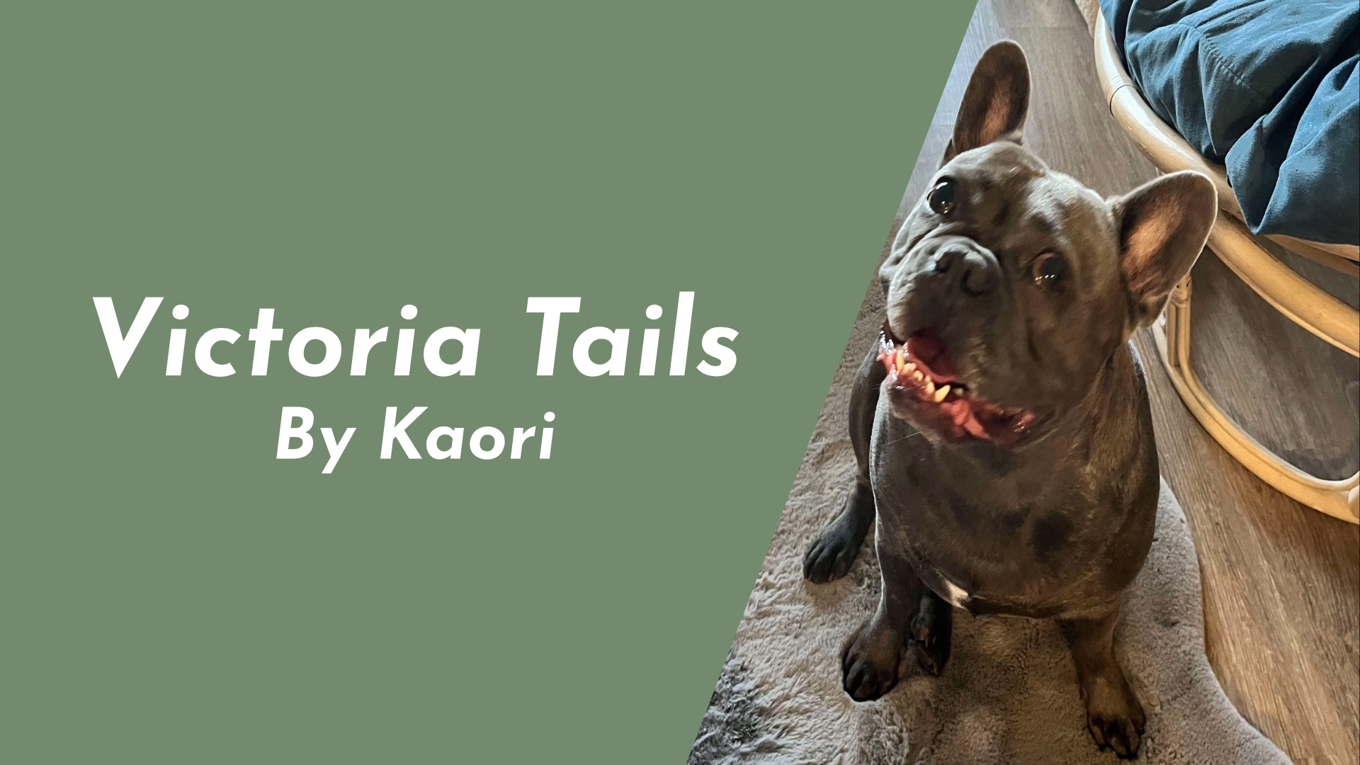 Welcome to Victoria Tails - Professional Pet Sitting Services
